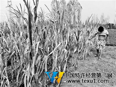 河南大旱領(lǐng)導(dǎo)下鄉(xiāng)送水拍照錄像后走人