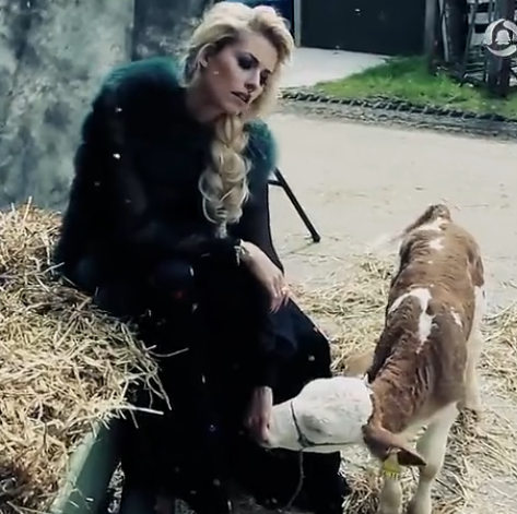 赫迪拉前任女友任性的與動(dòng)物的另類寫真