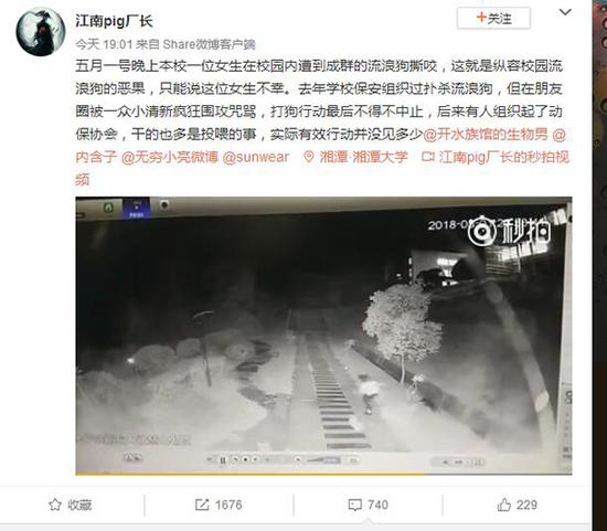 撿回一條命!女生遭流浪狗撕咬 被多只流浪狗圍困場面太兇險