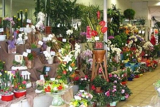 新手開花店的幾個注意事項(xiàng)